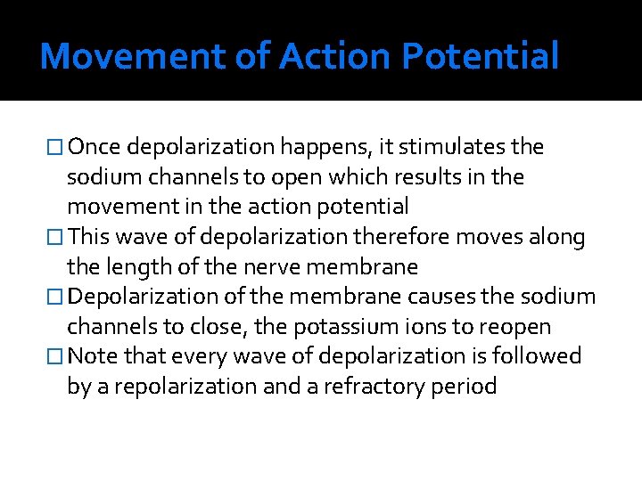 Movement of Action Potential � Once depolarization happens, it stimulates the sodium channels to