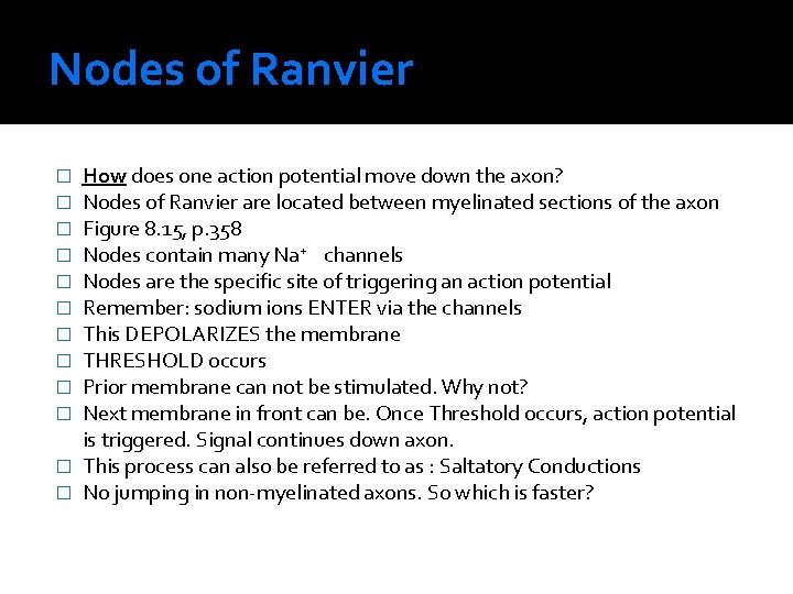 Nodes of Ranvier How does one action potential move down the axon? Nodes of