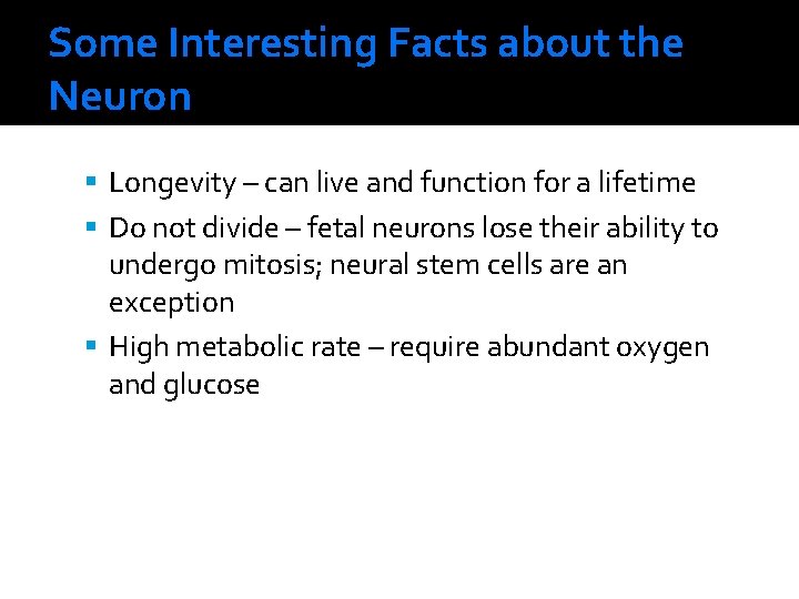 Some Interesting Facts about the Neuron Longevity – can live and function for a