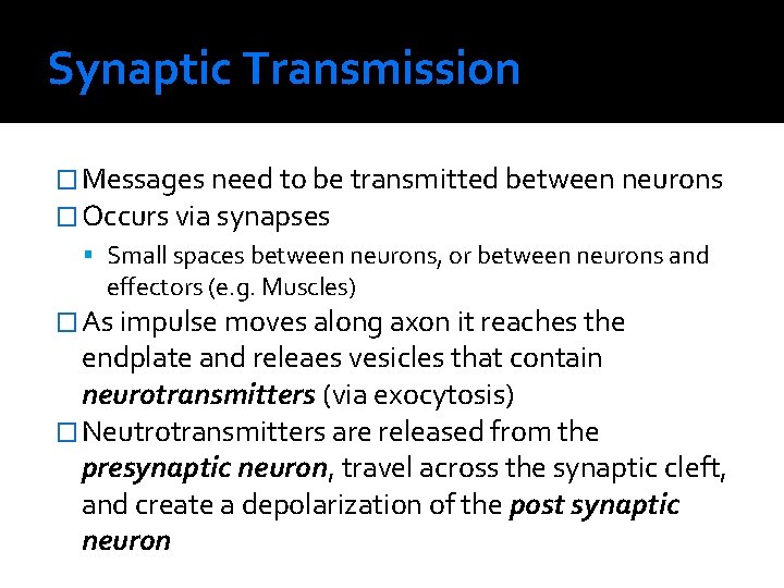 Synaptic Transmission � Messages need to be transmitted between neurons � Occurs via synapses