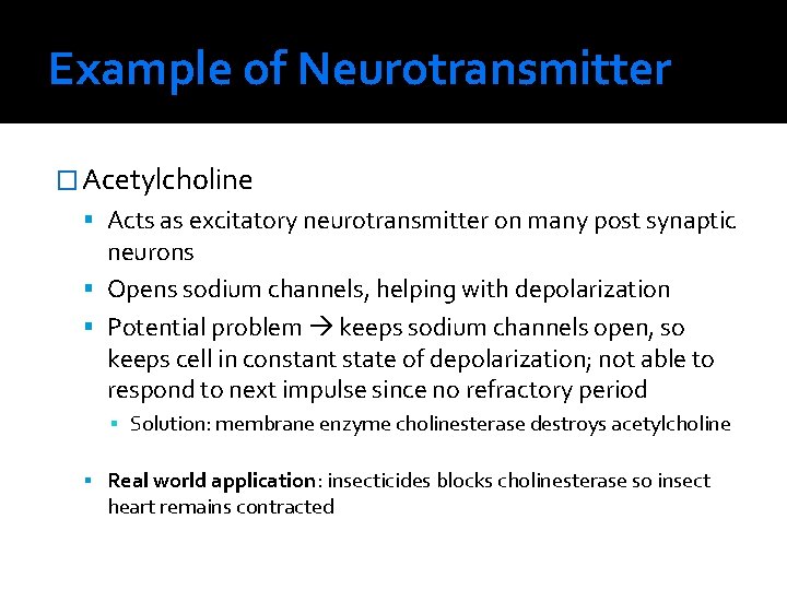 Example of Neurotransmitter � Acetylcholine Acts as excitatory neurotransmitter on many post synaptic neurons