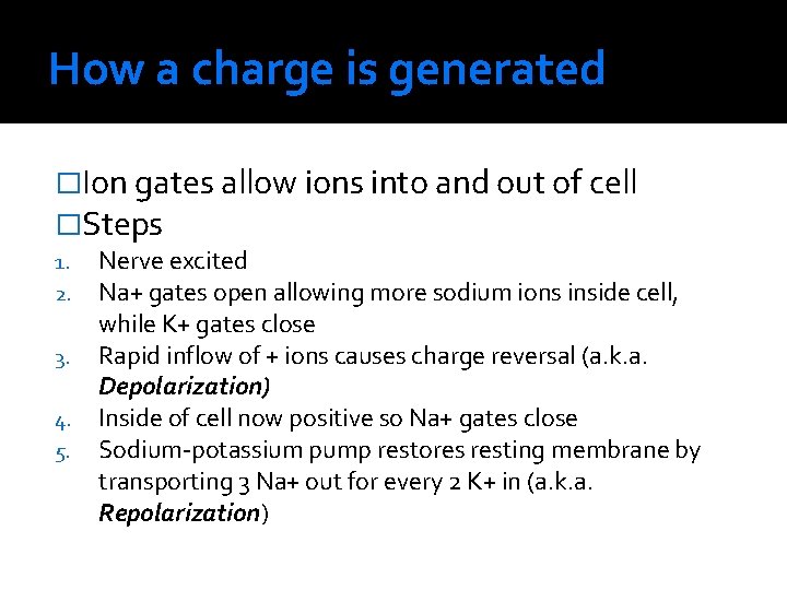 How a charge is generated �Ion gates allow ions into and out of cell