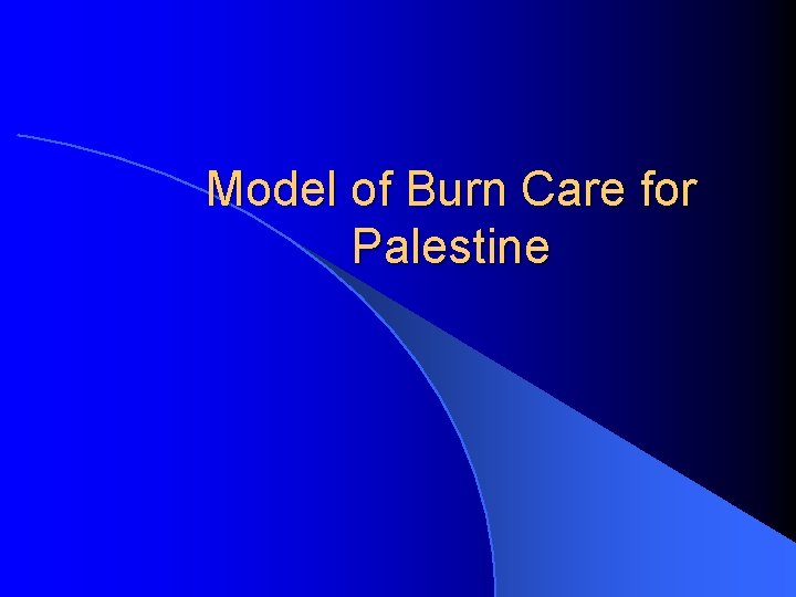 Model of Burn Care for Palestine 