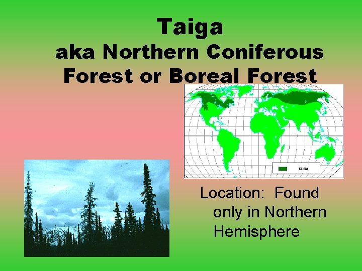 Taiga aka Northern Coniferous Forest or Boreal Forest Location: Found only in Northern Hemisphere Taiga aka Northern Coniferous Forest or Boreal Forest Location: Found only in Northern Hemisphere