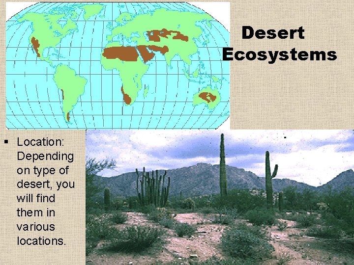 Desert Ecosystems § Location: Depending on type of desert, you will find them in Desert Ecosystems § Location: Depending on type of desert, you will find them in