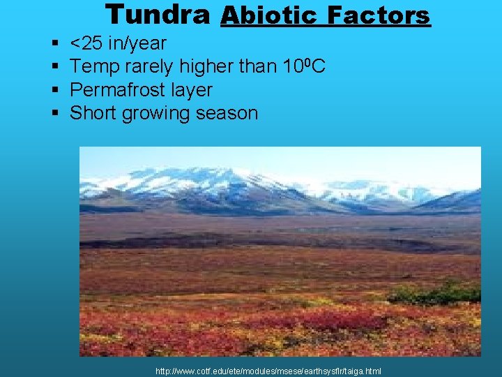 § § Tundra Abiotic Factors <25 in/year Temp rarely higher than 100 C Permafrost