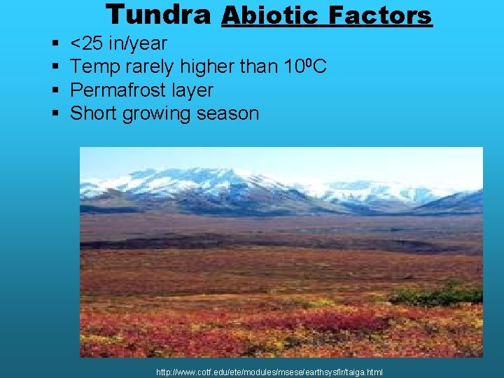 § § Tundra Abiotic Factors <25 in/year Temp rarely higher than 100 C Permafrost § § Tundra Abiotic Factors <25 in/year Temp rarely higher than 100 C Permafrost