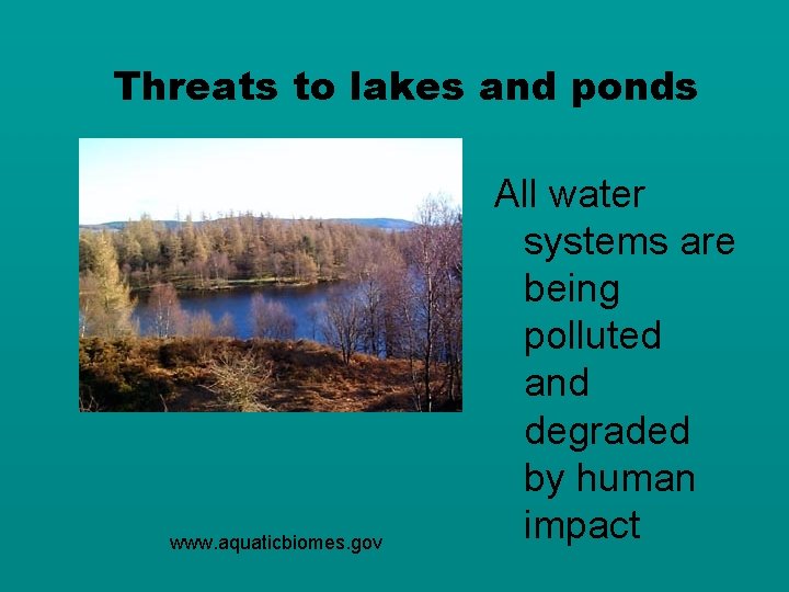 Threats to lakes and ponds www. aquaticbiomes. gov All water systems are being polluted