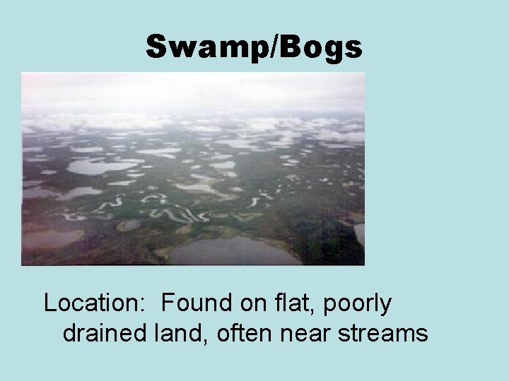 Swamp/Bogs Location: Found on flat, poorly drained land, often near streams Swamp/Bogs Location: Found on flat, poorly drained land, often near streams