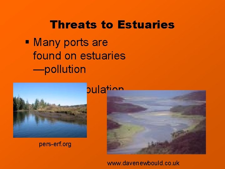 Threats to Estuaries § Many ports are found on estuaries —pollution § Human population Threats to Estuaries § Many ports are found on estuaries —pollution § Human population