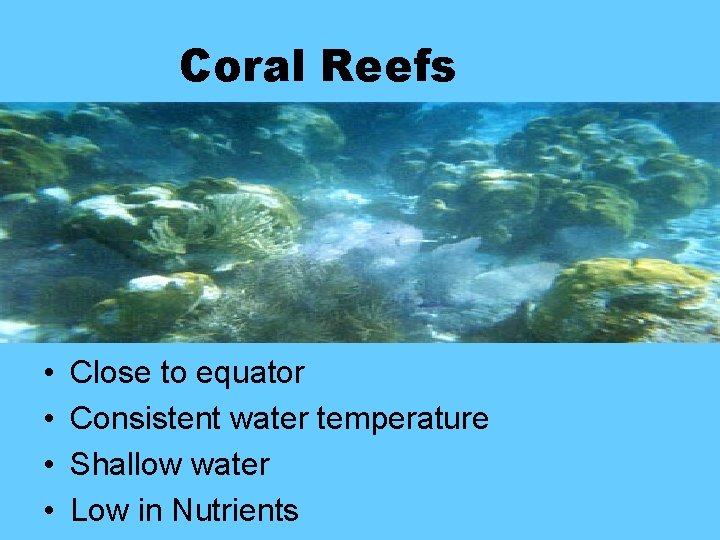 Coral Reefs • • Close to equator Consistent water temperature Shallow water Low in Coral Reefs • • Close to equator Consistent water temperature Shallow water Low in