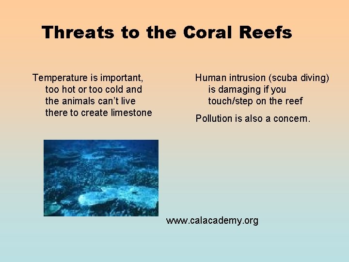 Threats to the Coral Reefs Temperature is important, too hot or too cold and Threats to the Coral Reefs Temperature is important, too hot or too cold and