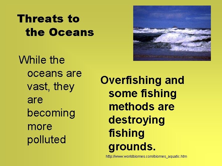 Threats to the Oceans While the oceans are vast, they are becoming more polluted Threats to the Oceans While the oceans are vast, they are becoming more polluted