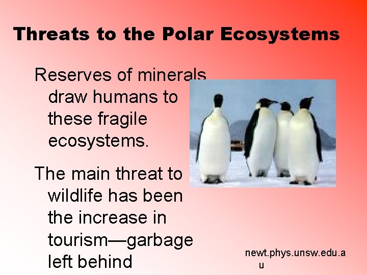 Threats to the Polar Ecosystems Reserves of minerals draw humans to these fragile ecosystems. Threats to the Polar Ecosystems Reserves of minerals draw humans to these fragile ecosystems.