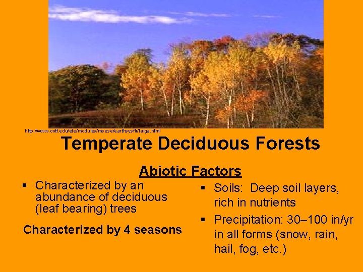 http: //www. cotf. edu/ete/modules/msese/earthsysflr/taiga. html Temperate Deciduous Forests Abiotic Factors § Characterized by an