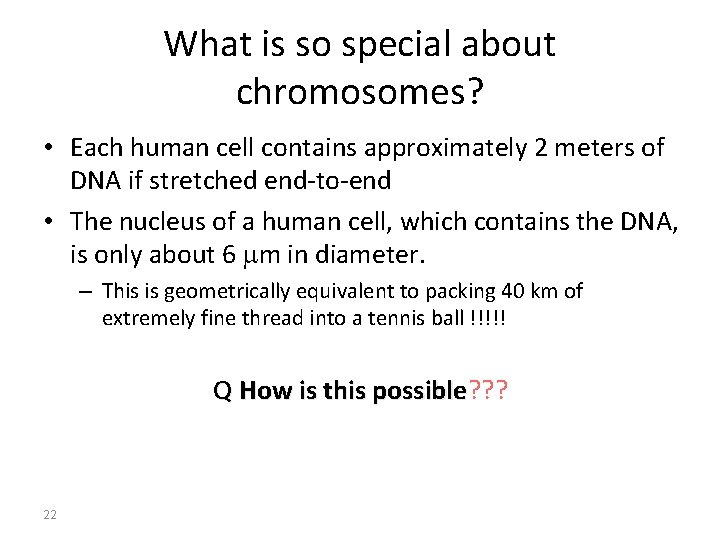 What is so special about chromosomes? • Each human cell contains approximately 2 meters