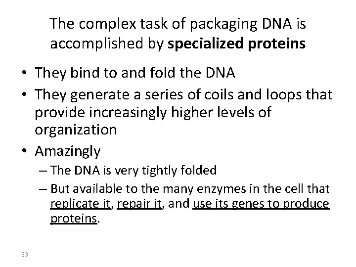 The complex task of packaging DNA is accomplished by specialized proteins • They bind