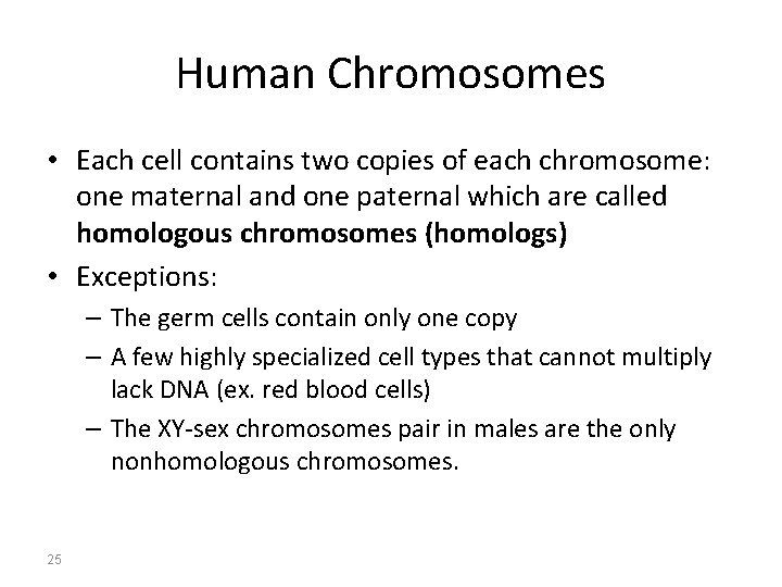 Human Chromosomes • Each cell contains two copies of each chromosome: one maternal and