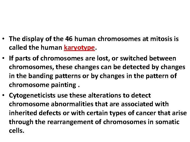  • The display of the 46 human chromosomes at mitosis is called the