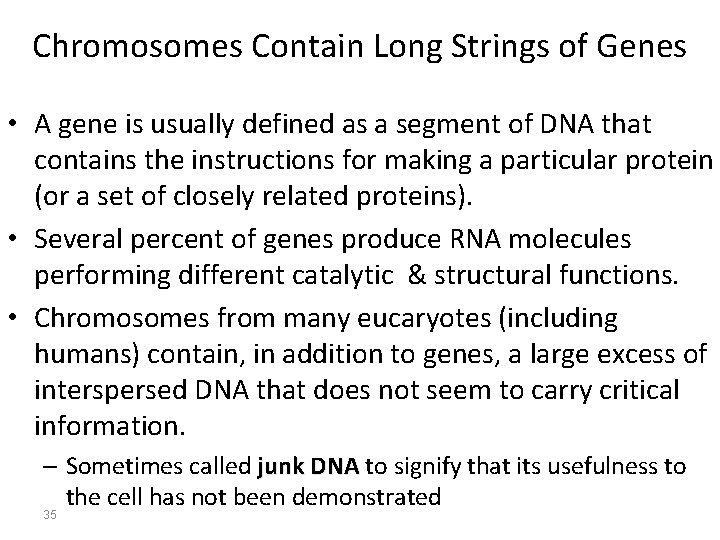 Chromosomes Contain Long Strings of Genes • A gene is usually defined as a