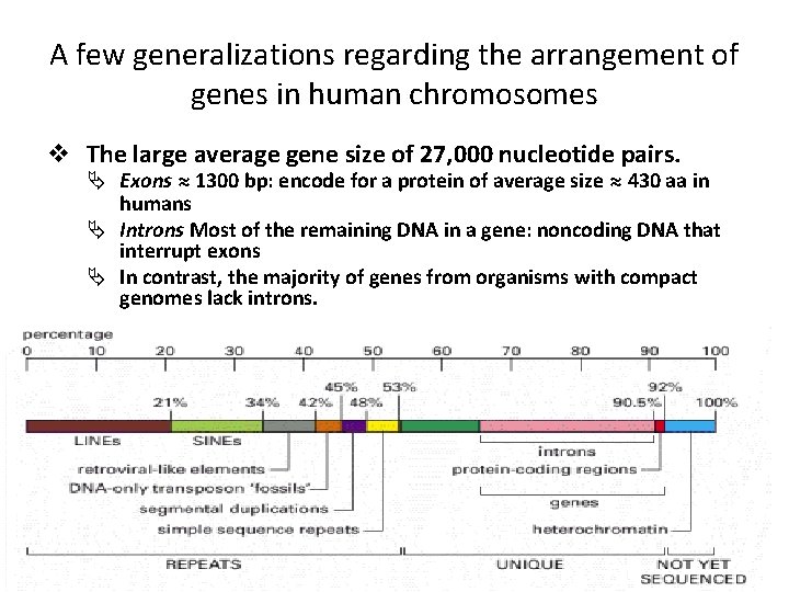 A few generalizations regarding the arrangement of genes in human chromosomes v The large