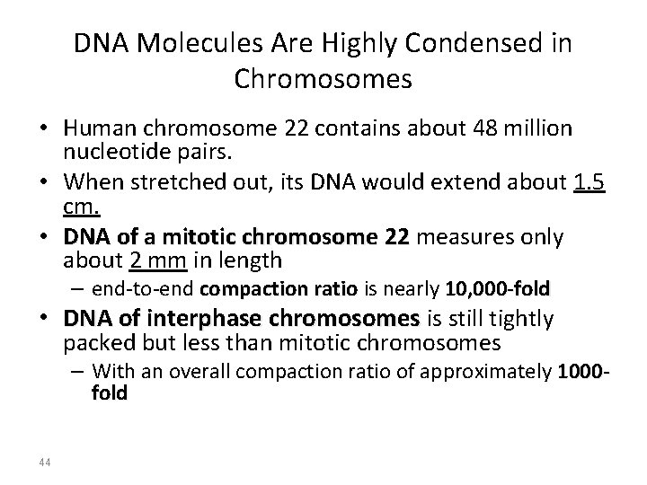 DNA Molecules Are Highly Condensed in Chromosomes • Human chromosome 22 contains about 48