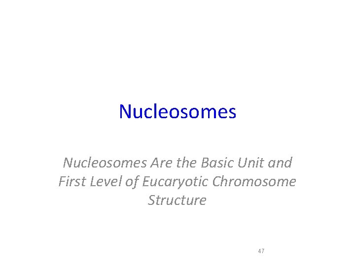 Nucleosomes Are the Basic Unit and First Level of Eucaryotic Chromosome Structure 47 