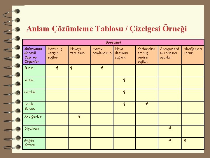 Anlam Çözümleme Tablosu / Çizelgesi Örneği Görevleri Solunumda Görevli Yapı ve Organlar Burun Hava