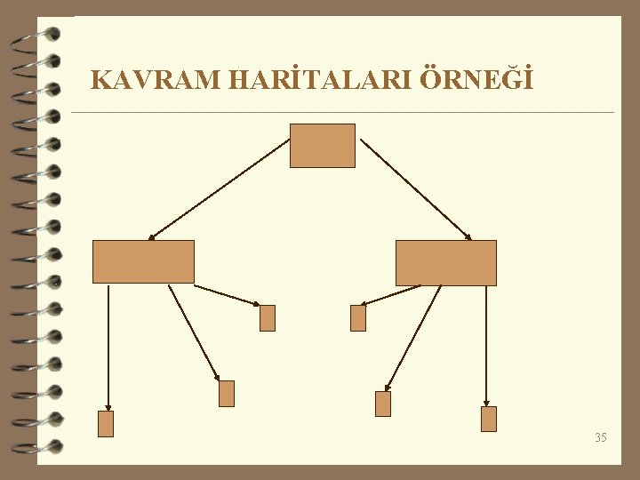 KAVRAM HARİTALARI ÖRNEĞİ 35 