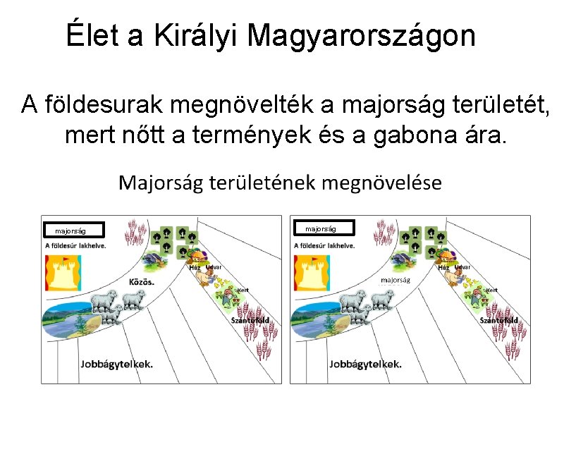 Élet a Királyi Magyarországon A földesurak megnövelték a majorság területét, mert nőtt a termények