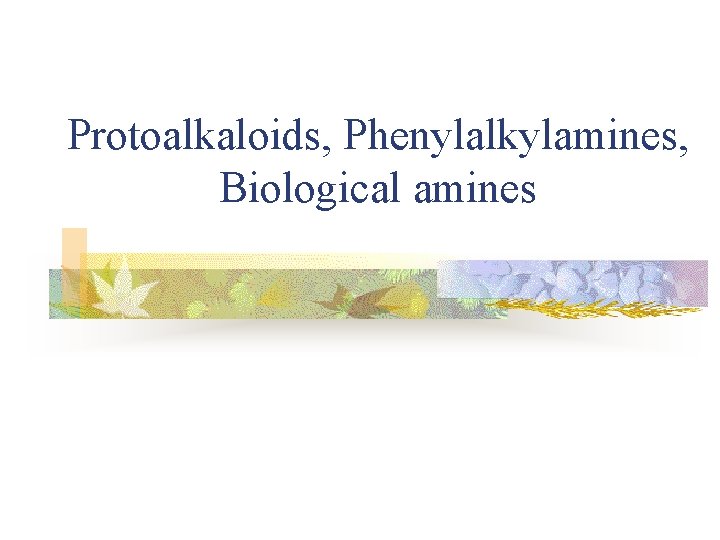 Protoalkaloids, Phenylalkylamines, Biological amines 