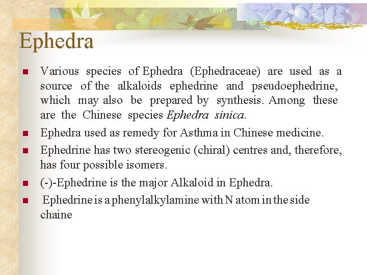 Ephedra n n n Various species of Ephedra (Ephedraceae) are used as a source