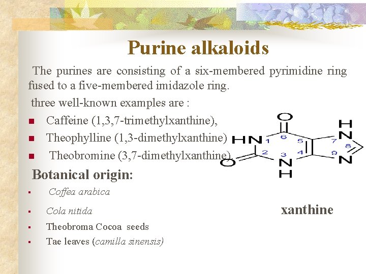 Purine alkaloids The purines are consisting of a six-membered pyrimidine ring fused to a