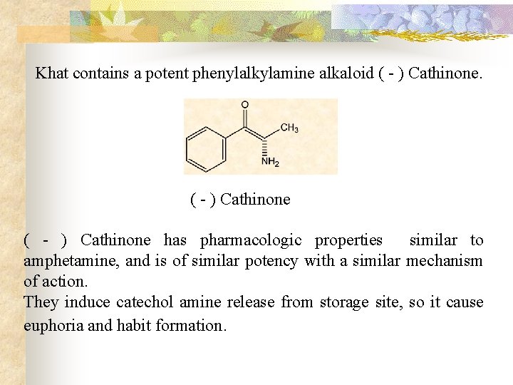 Khat contains a potent phenylalkylamine alkaloid ( - ) Cathinone has pharmacologic properties similar