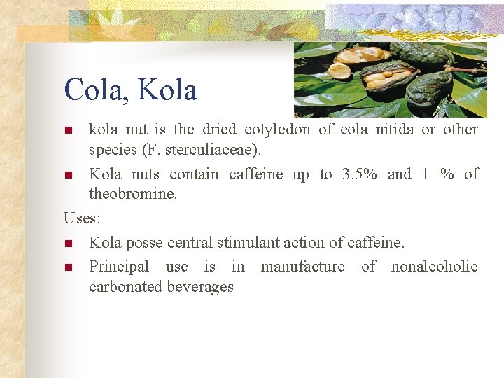 Cola, Kola kola nut is the dried cotyledon of cola nitida or other species