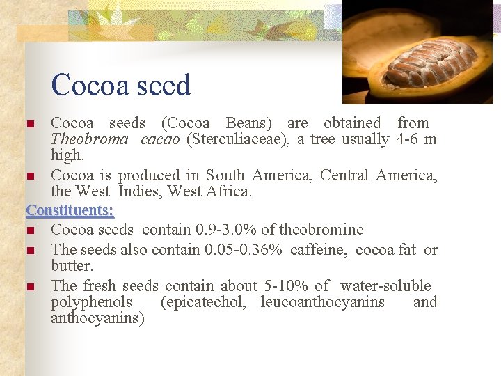 Cocoa seed n n Cocoa seeds (Cocoa Beans) are obtained from Theobroma cacao (Sterculiaceae),