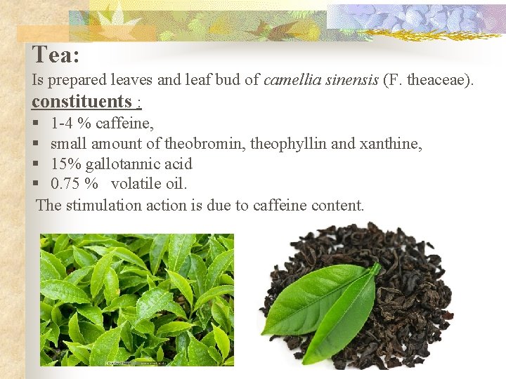 Tea: Is prepared leaves and leaf bud of camellia sinensis (F. theaceae). constituents :