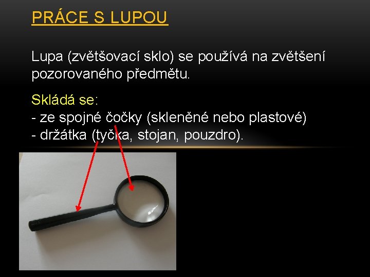 PRÁCE S LUPOU Lupa (zvětšovací sklo) se používá na zvětšení pozorovaného předmětu. Skládá se: