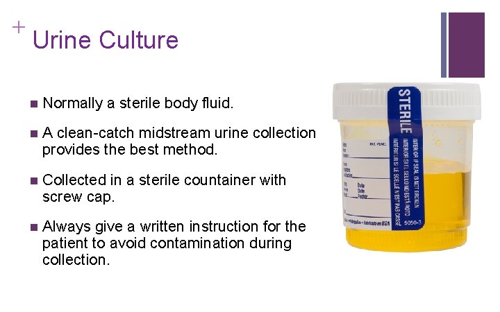 + Urine Culture n Normally a sterile body fluid. n A clean-catch midstream urine