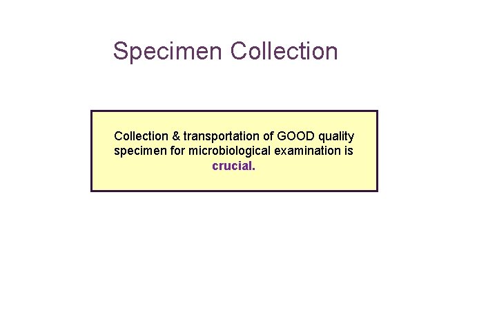 Specimen Collection & transportation of GOOD quality specimen for microbiological examination is crucial. 