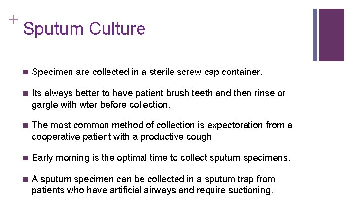 + Sputum Culture n Specimen are collected in a sterile screw cap container. n