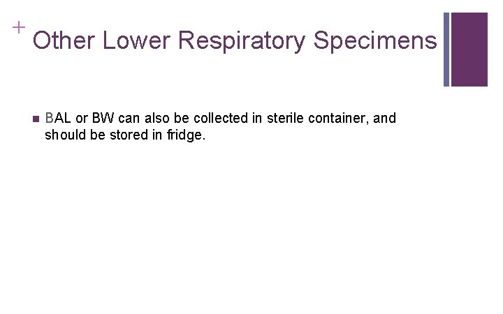 + Other Lower Respiratory Specimens n BAL or BW can also be collected in