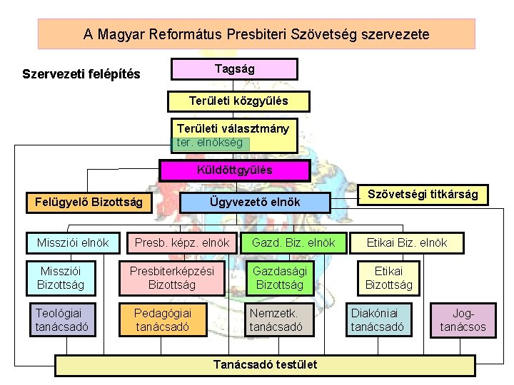 A Magyar Református Presbiteri Szövetség szervezete Tagság Szervezeti felépítés Területi közgyűlés Területi választmány ter.