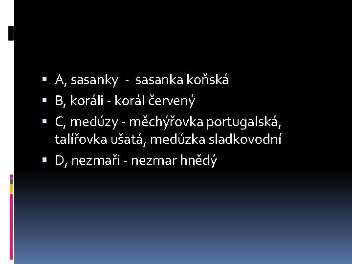  A, sasanky - sasanka koňská B, koráli - korál červený C, medúzy -