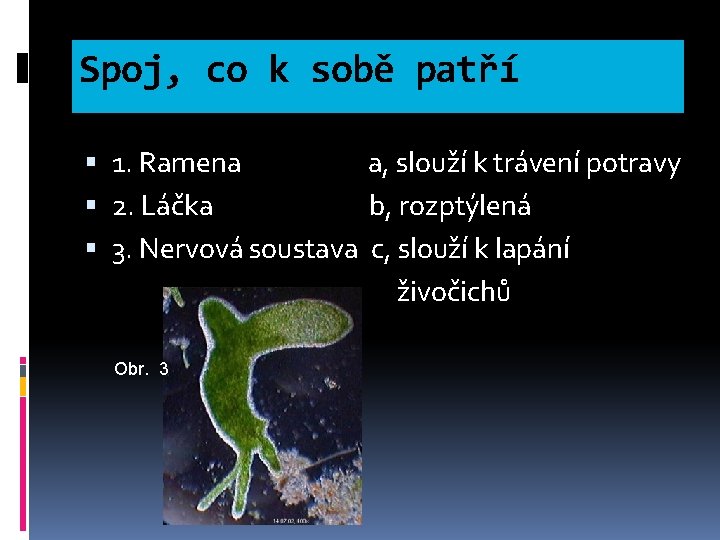 Spoj, co k sobě patří 1. Ramena a, slouží k trávení potravy 2. Láčka