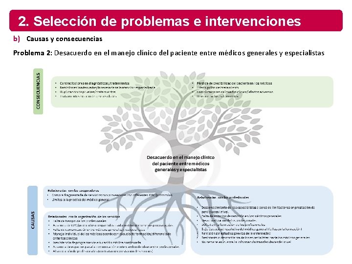 2. Selección de problemas e intervenciones b) Causas y consecuencias Problema 2: Desacuerdo en