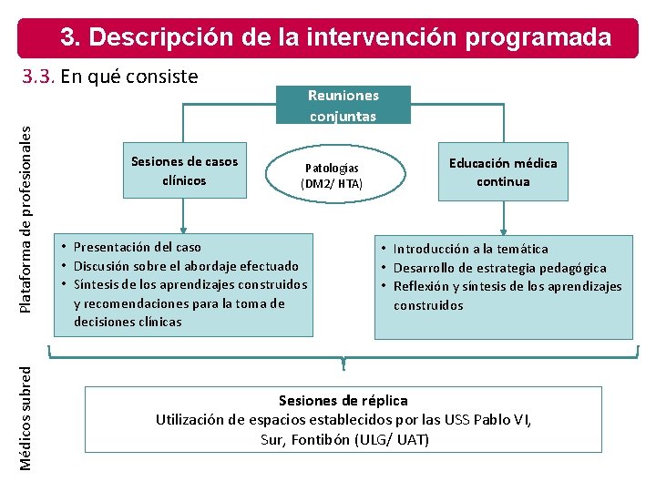3. Descripción de la intervención programada Médicos subred Plataforma de profesionales 3. 3. En