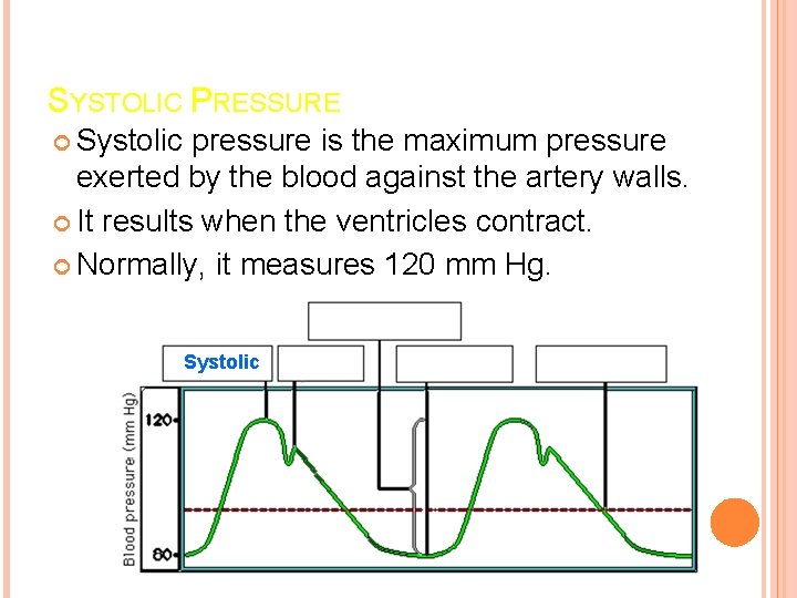 SYSTOLIC PRESSURE Systolic pressure is the maximum pressure exerted by the blood against the