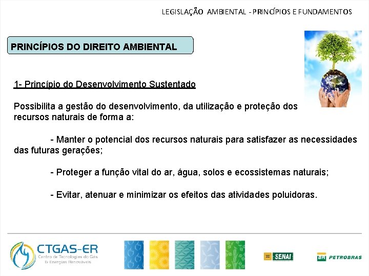 LEGISLAÇÃO AMBIENTAL - PRINCÍPIOS E FUNDAMENTOS PRINCÍPIOS DO DIREITO AMBIENTAL 1 - Princípio do