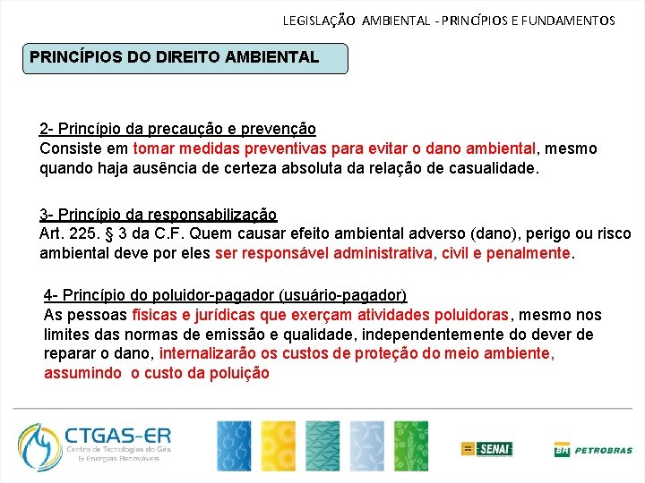 LEGISLAÇÃO AMBIENTAL - PRINCÍPIOS E FUNDAMENTOS PRINCÍPIOS DO DIREITO AMBIENTAL 2 - Princípio da